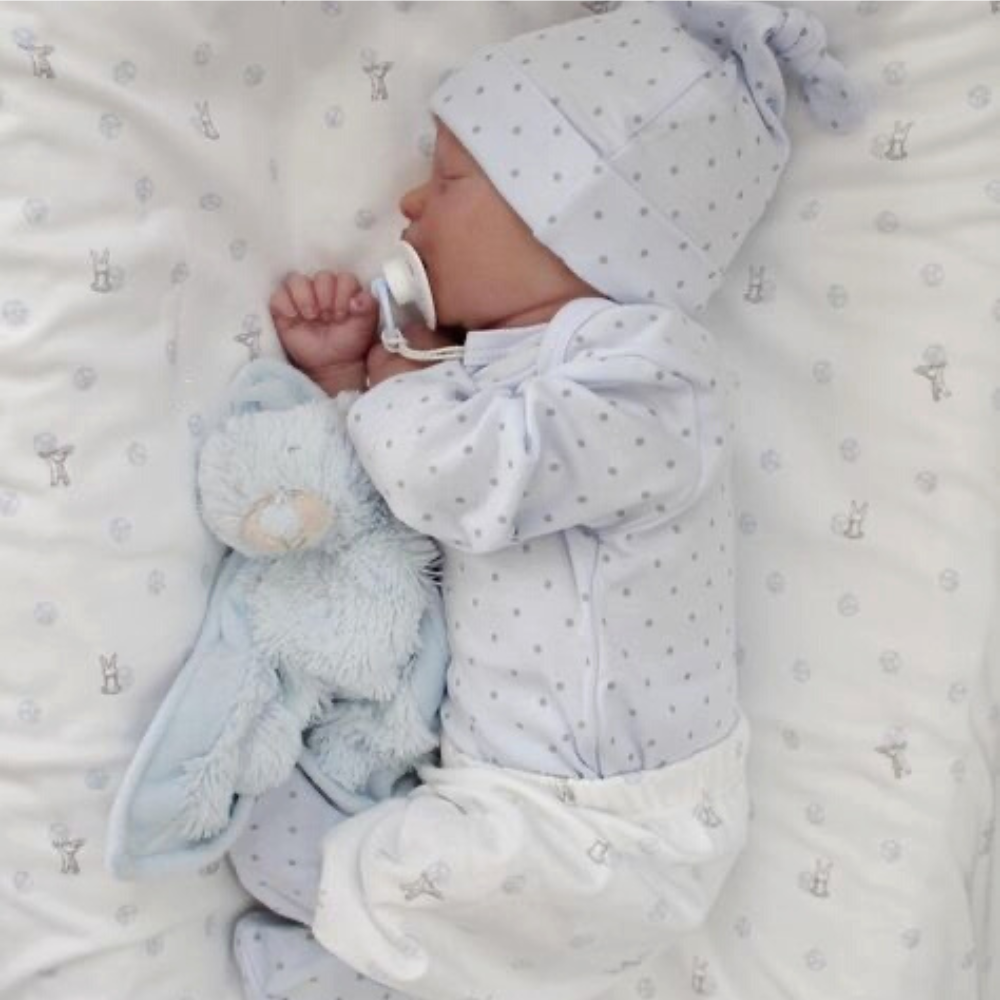 Roy💙👶🏼 ,Lifelike Reborn silicone Baby Doll (45cm)